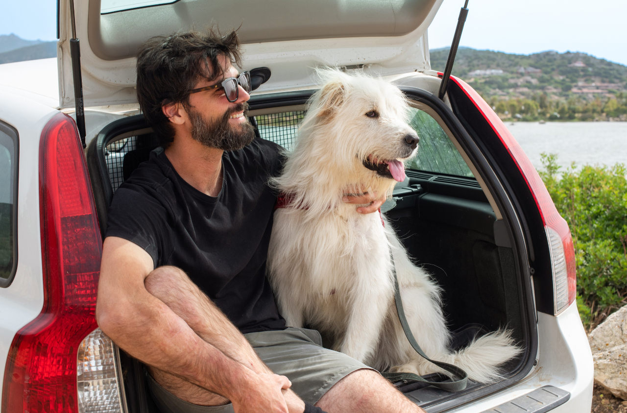 viajar con tu mascota en coche